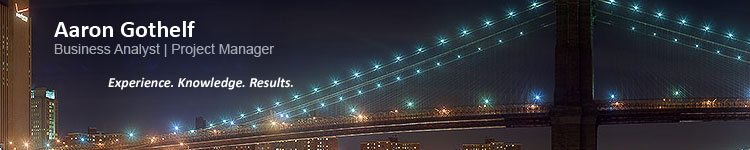 Sr. Business Analyst